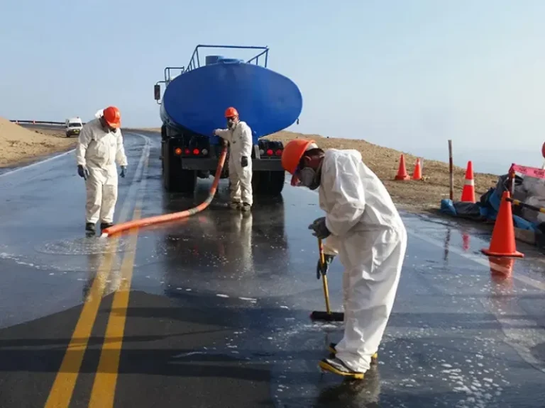 Experiencia Remediacion Ambiental (5)